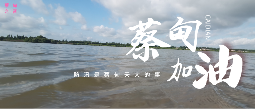 蔡甸區啟動(dòng)防汛ⅰ級應急響應，做好鋪土釘防汛木樁工作