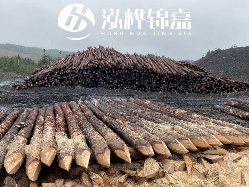 6米長(cháng)松木樁有哪些作用，多少錢(qián)一根？
