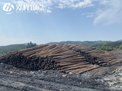 河道打樁為什么選擇松木樁來(lái)處理軟地基？-松木樁施工使用范圍