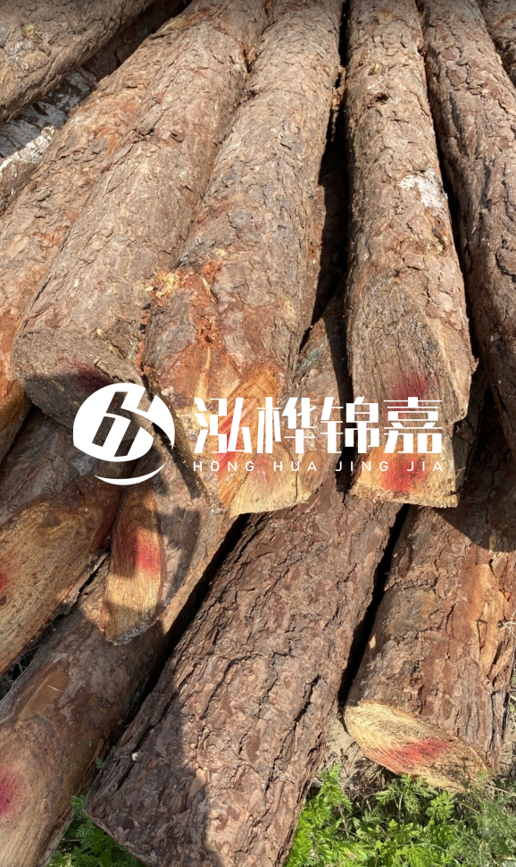 <strong>松木樁和杉木樁的用途區別？哪個(gè)更適合打樁用？</strong>