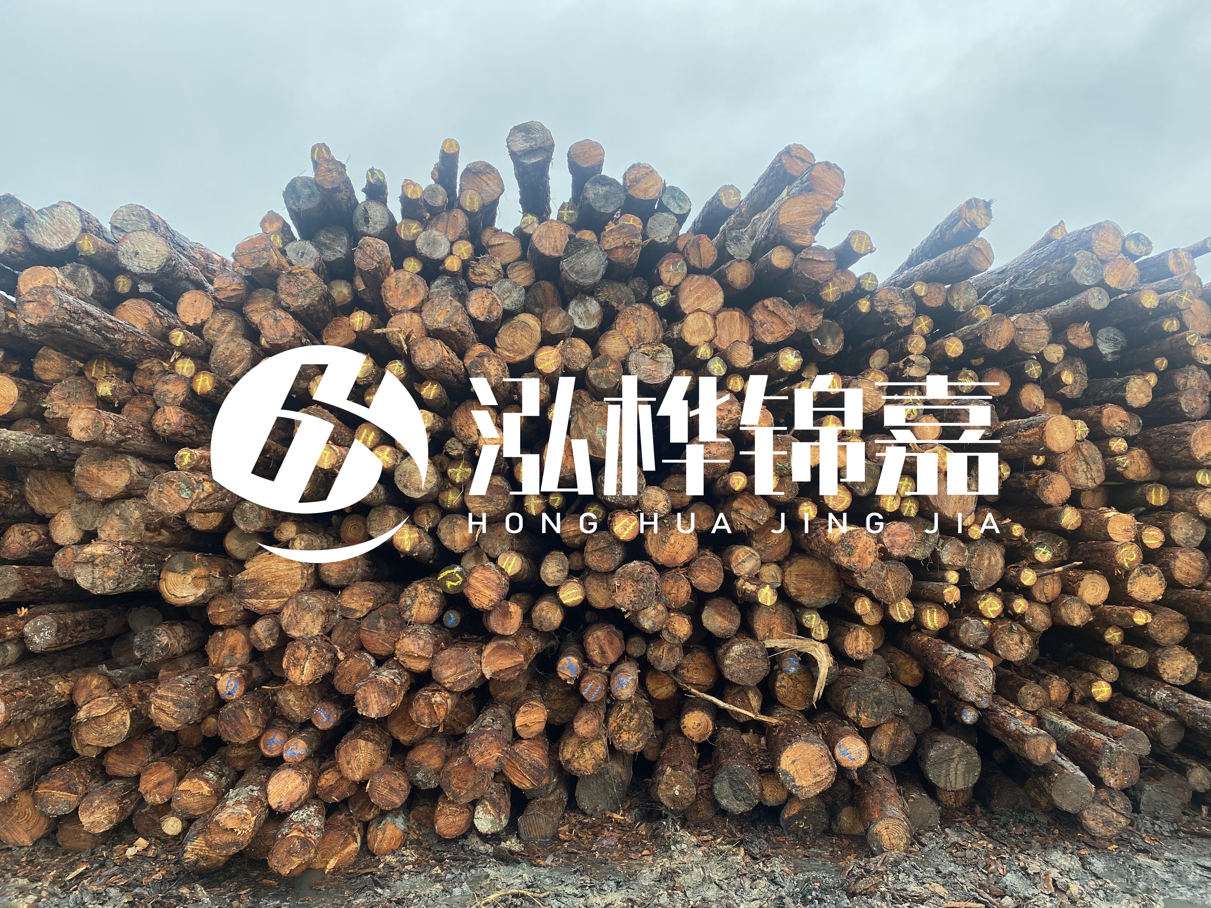 松木樁的直徑一般取多少？