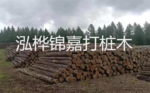 選擇紅磚護坡，打造獨特的美麗景觀(guān)