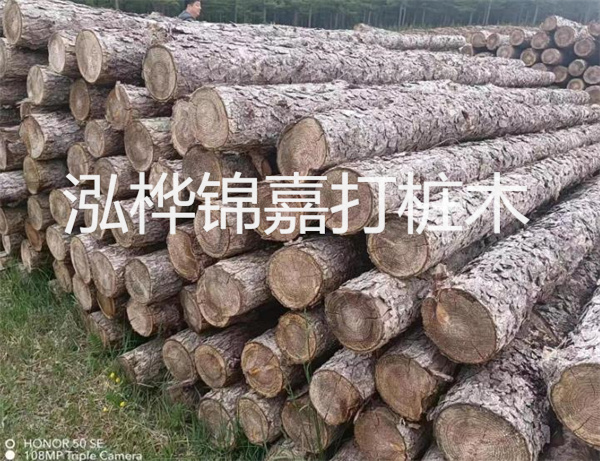高效修補，保駕護航！水泥路面高強度修補料為您解決煩惱！