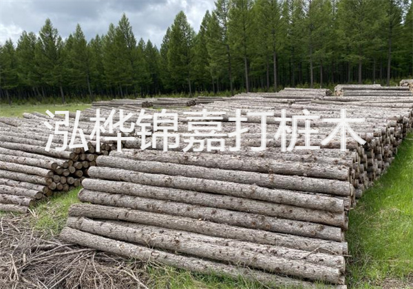 橋梁松木樁施工方法-樁基建設的重要環(huán)節