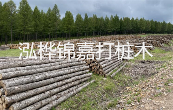 美的燃氣灶怎么樣,美的燃氣灶怎么樣什么價(jià)格