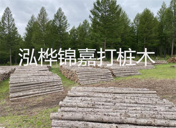 浙江防洪松木樁施工：守護家園的堅實(shí)堡壘
