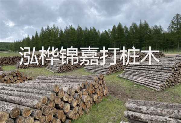 預制松木樁施工工藝：優(yōu)質(zhì)材料，高效快速，堅固耐用