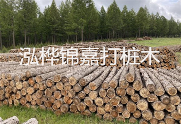 松木樁能施工嗎？探究視頻揭秘真相！