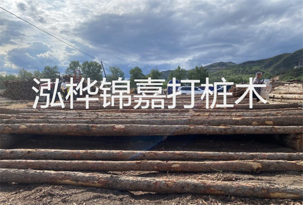 汕頭松木樁施工隊-專(zhuān)業(yè)提供高質(zhì)量施工服務(wù)