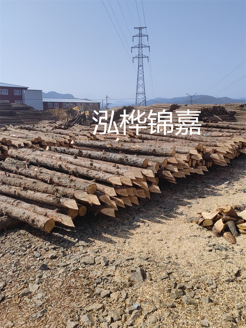 深入了解松木樁基礎施工單價(jià)，助力工程建設順利進(jìn)行！