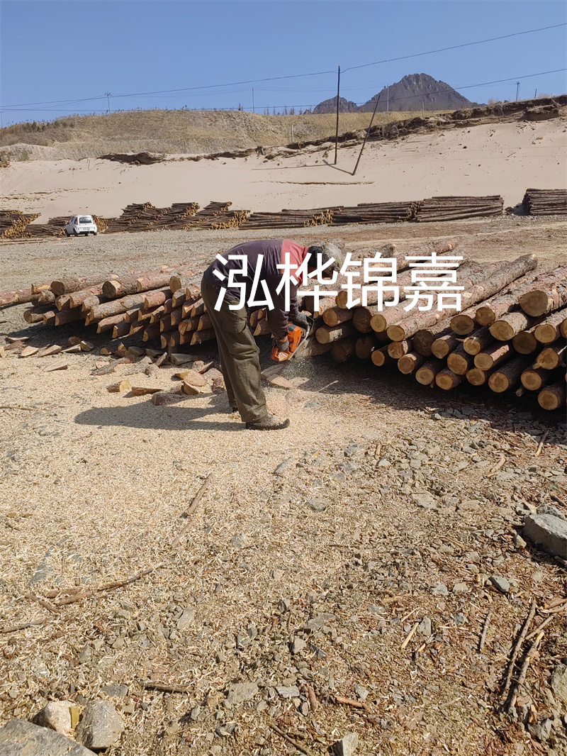 松木樁駁岸施工，打造水上風(fēng)景線(xiàn)