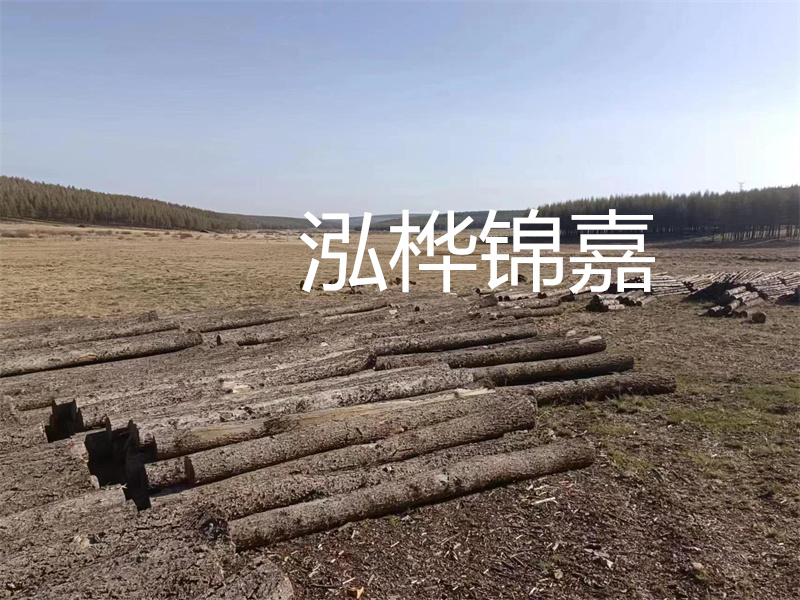 選擇什么木頭的床最好？